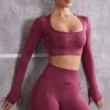 Long Sleeve Crop Top in Rose
